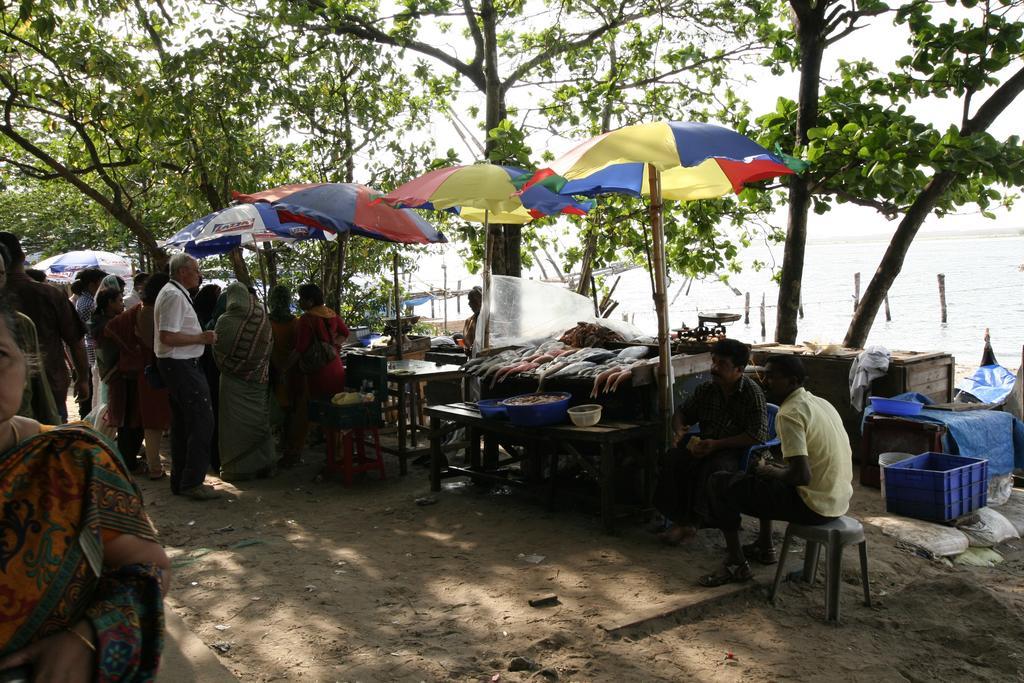 Greenview Homestay Коччи Номер фото