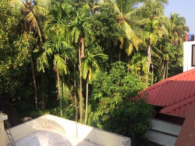 Greenview Homestay Коччи Экстерьер фото